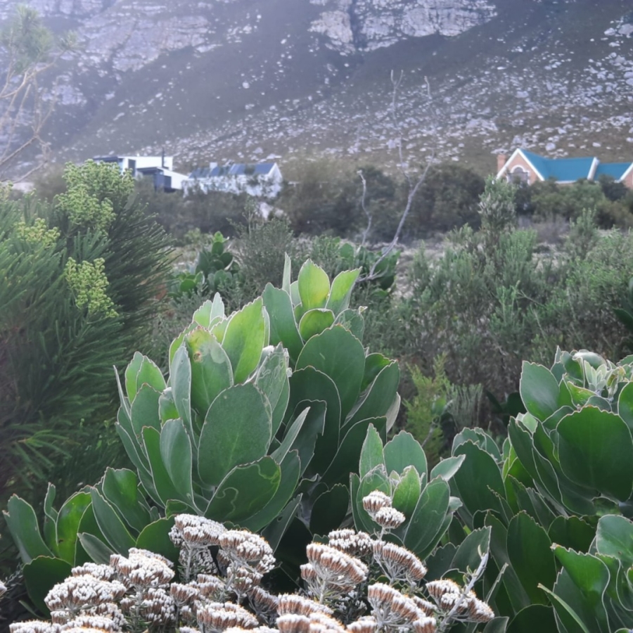 Commercial Property for Sale in Bettys Bay Western Cape